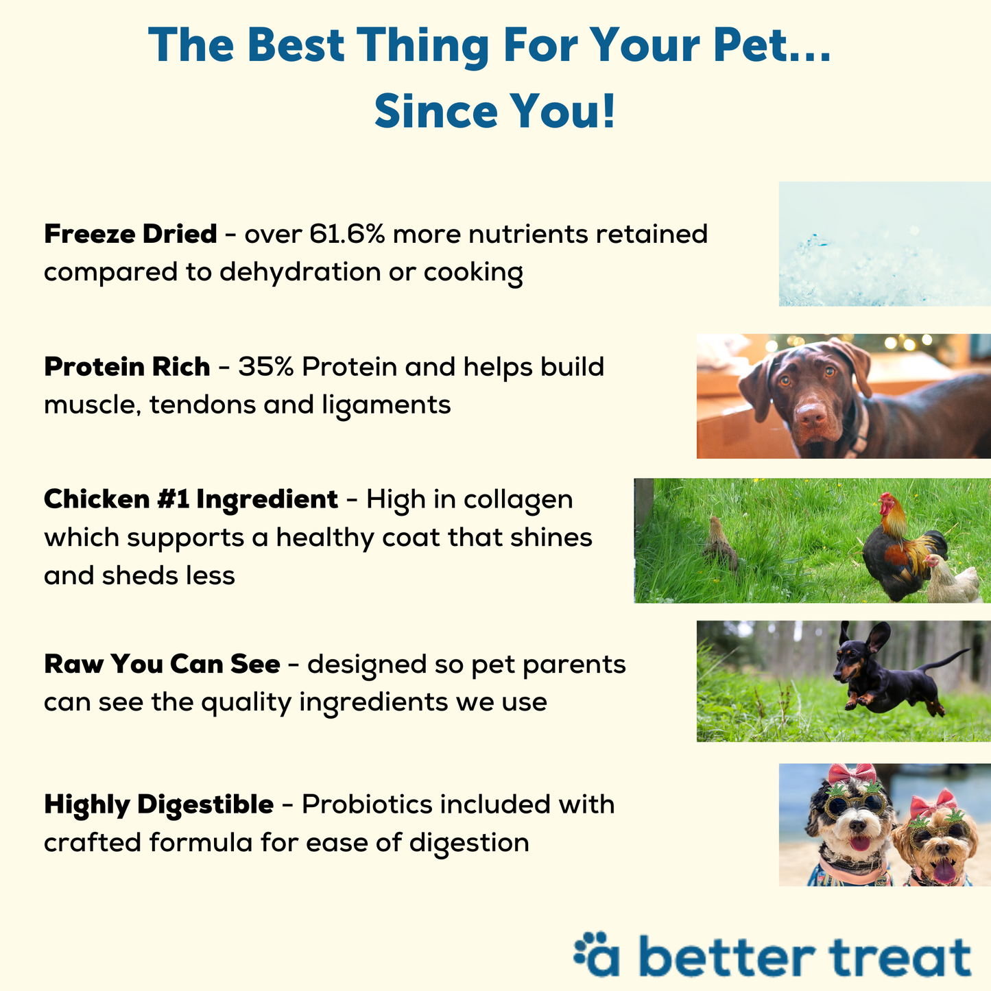 A Better Dog Food Chicken - High Protein - Raw You Can See