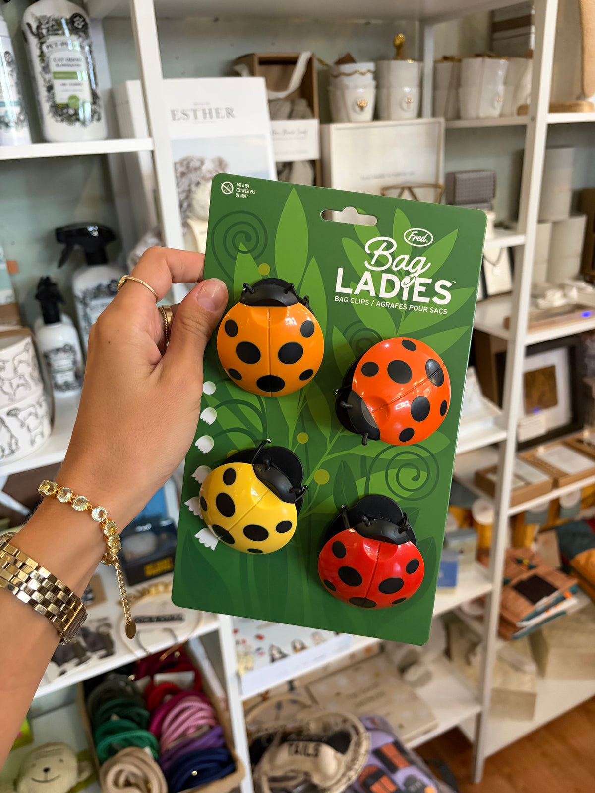 Bag Clips
