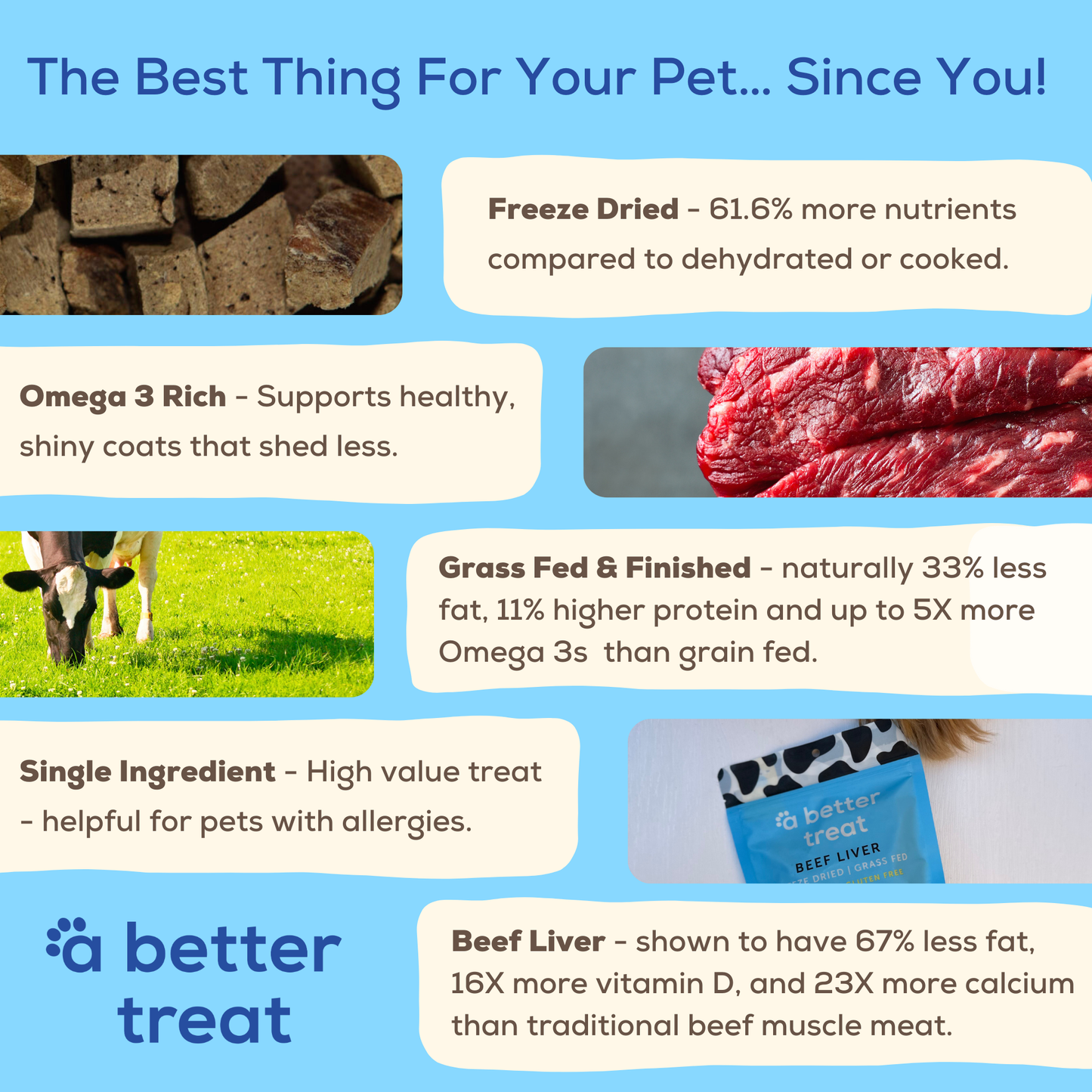 Organic Freeze Dried 100% Grass Fed Beef Dog and Cat Treats