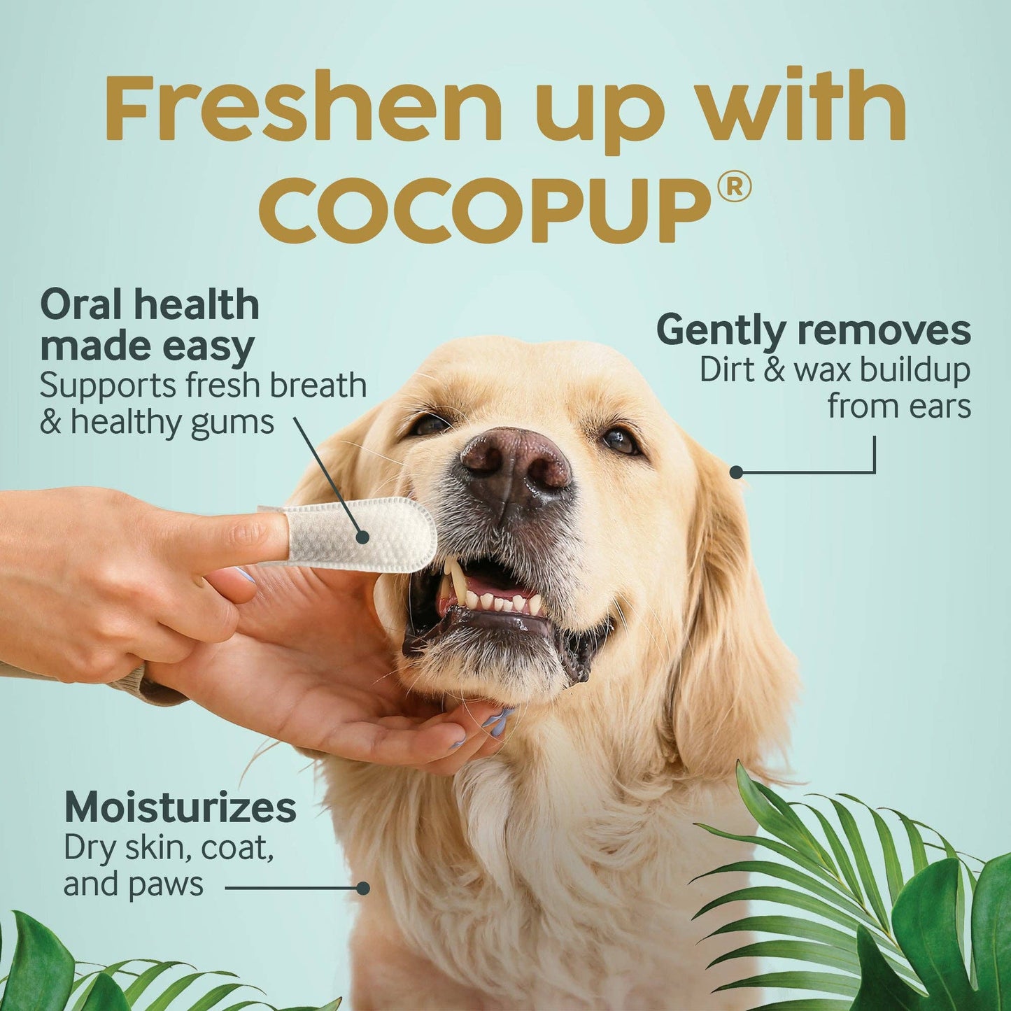 Coco Pup Wipes