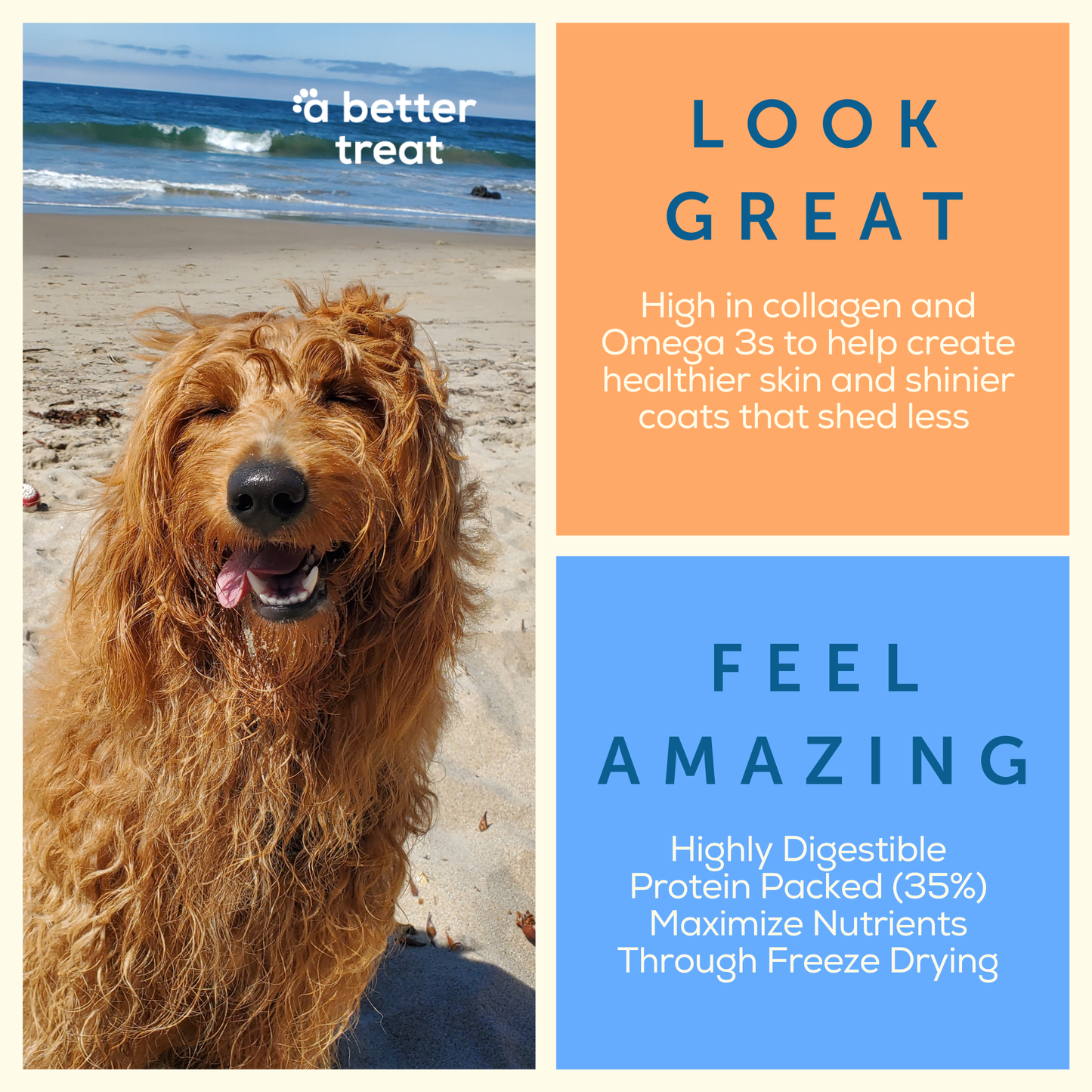 A Better Dog Food Chicken - High Protein - Raw You Can See