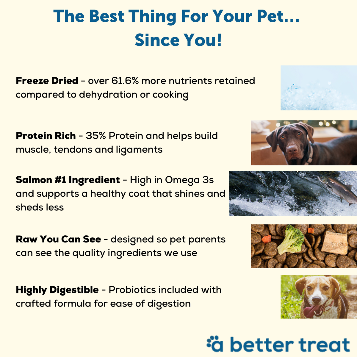 A Better Dog Food Salmon - High Protein - Raw You Can See