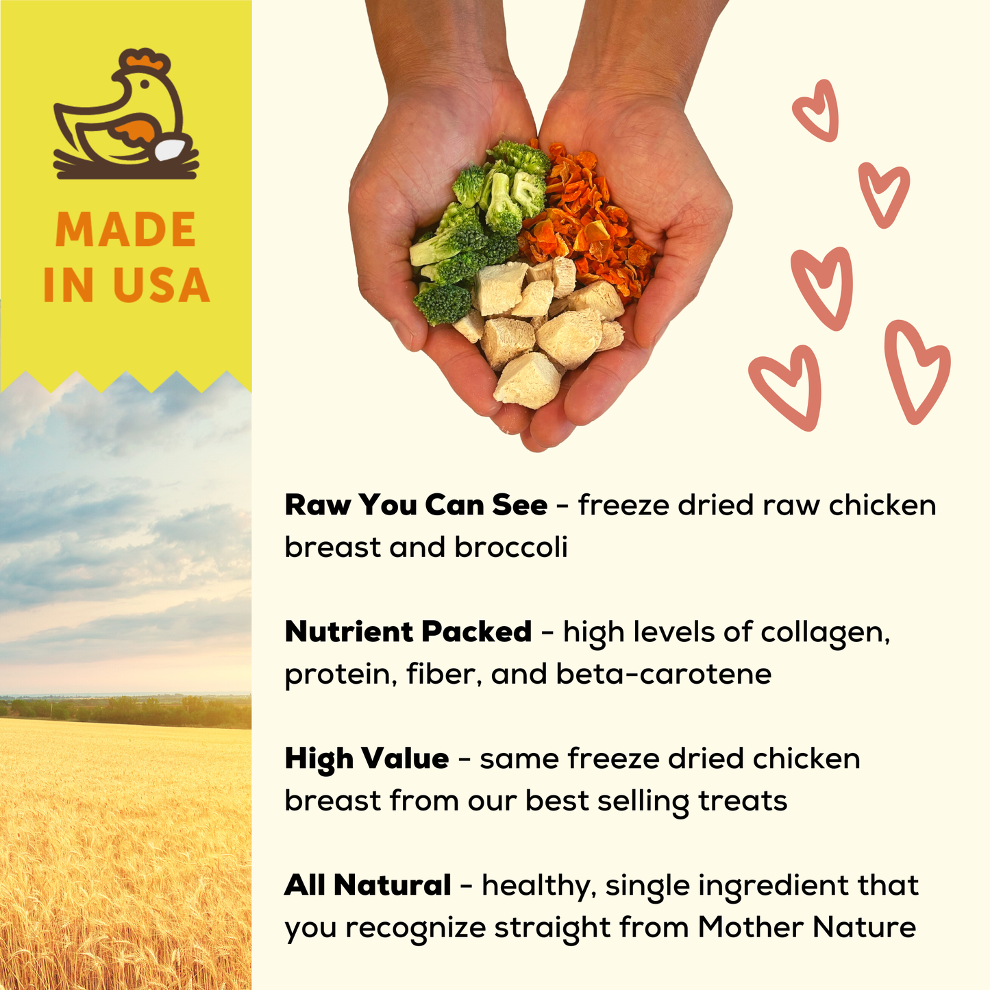 A Better Dog Food Chicken - High Protein - Raw You Can See