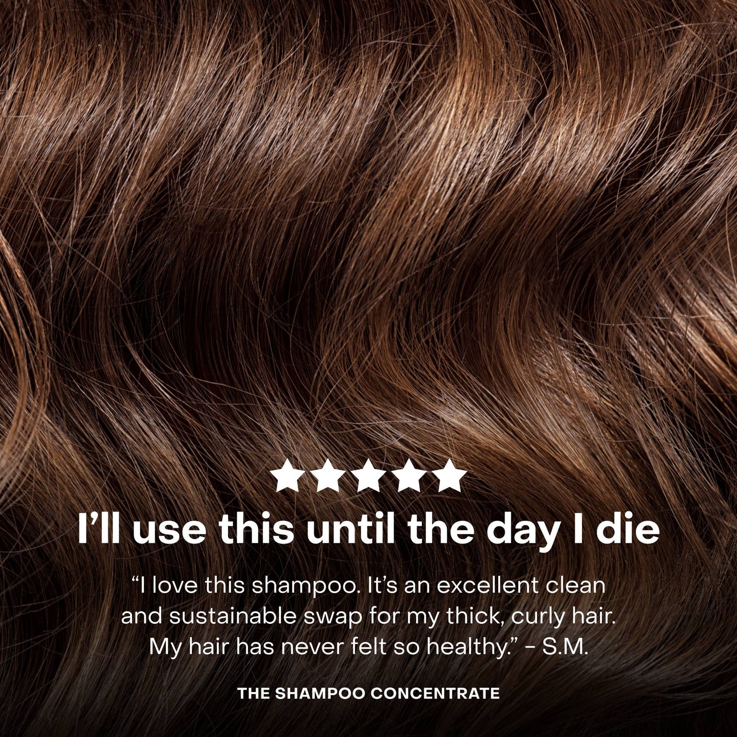 Everist Shampoo & Conditioner