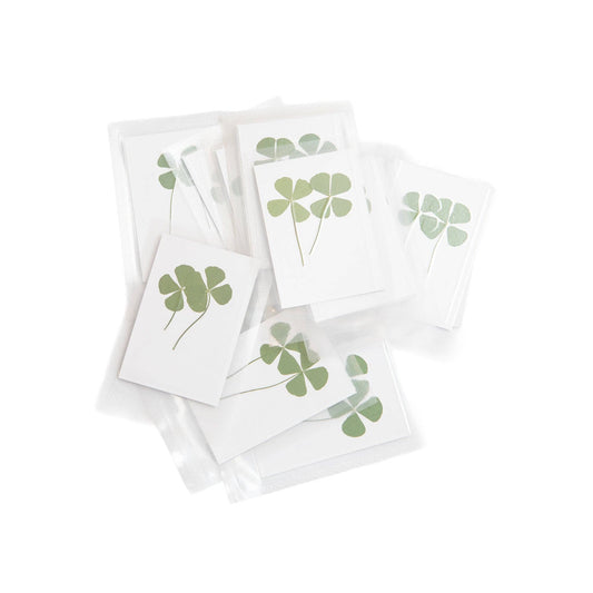 Pressed Four Leaf Clovers