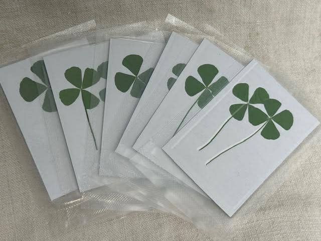 Pressed Four Leaf Clovers
