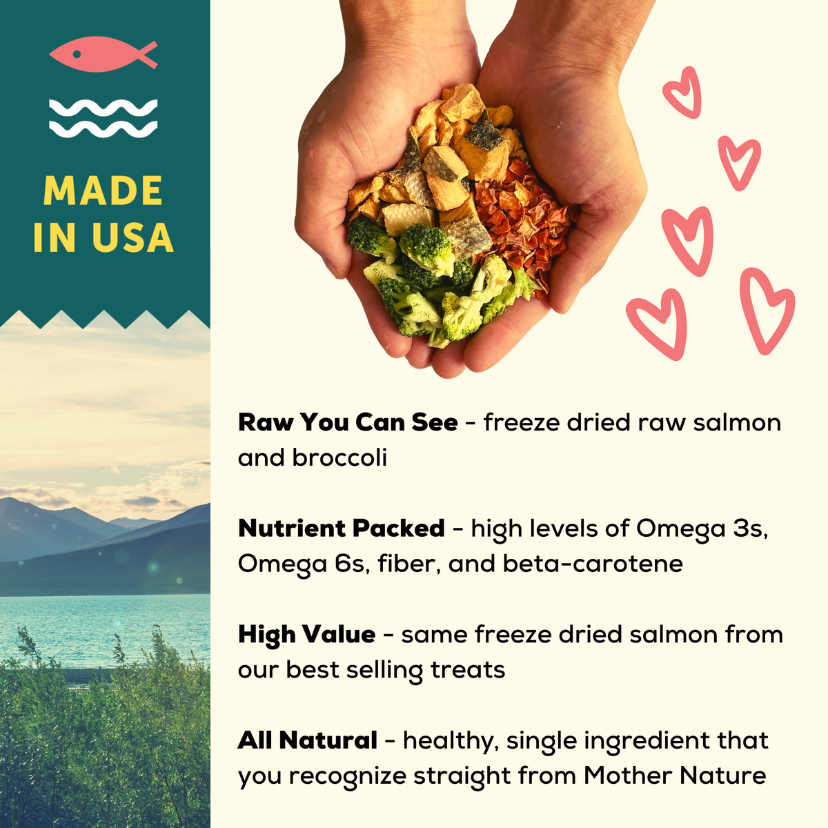 A Better Dog Food Salmon - High Protein - Raw You Can See