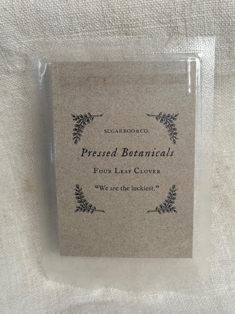Pressed Four Leaf Clovers